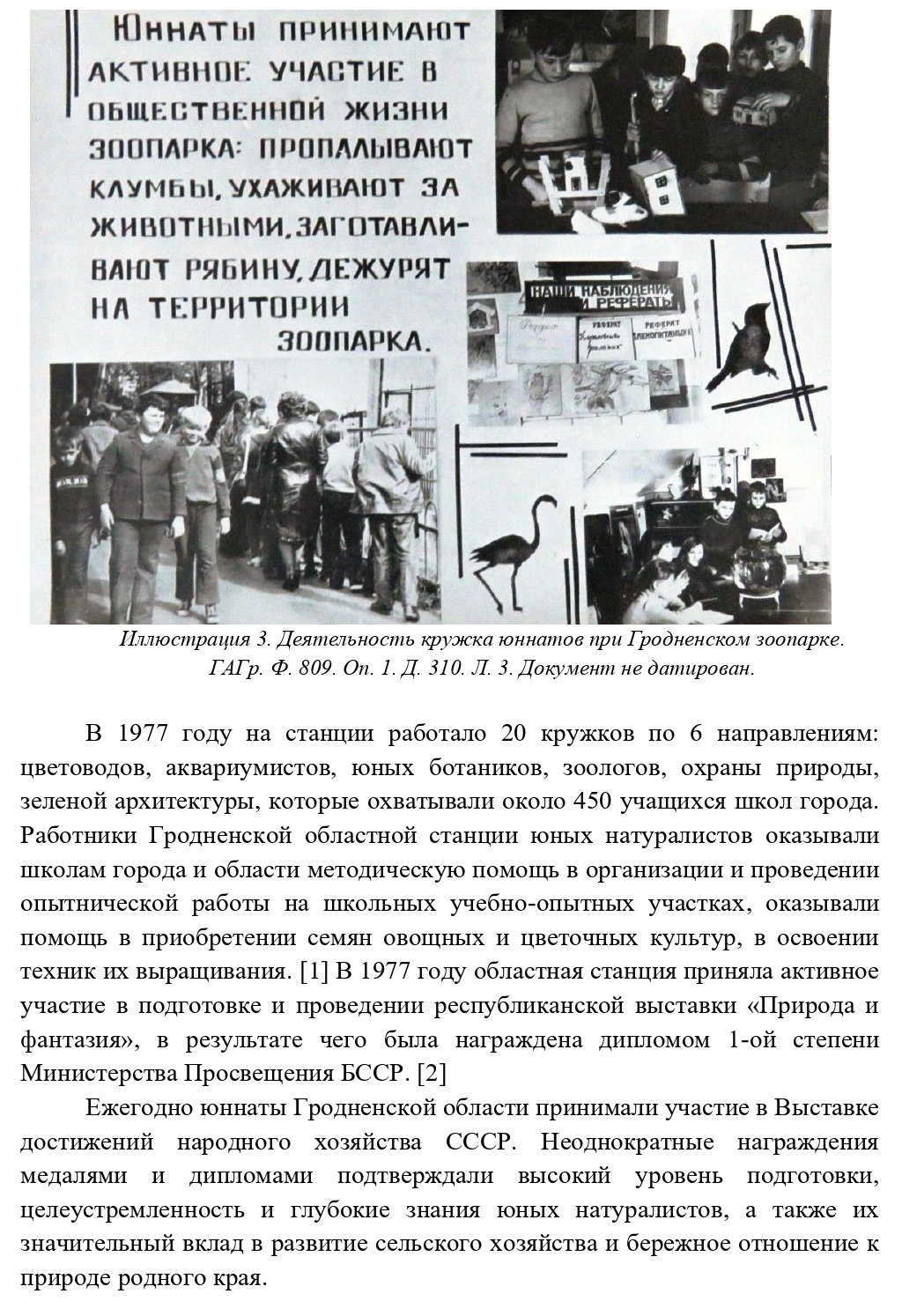 4.jpg 4.jpg
