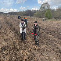 Единство с природой и общее дело: как Гродненская область преображала Жировичи